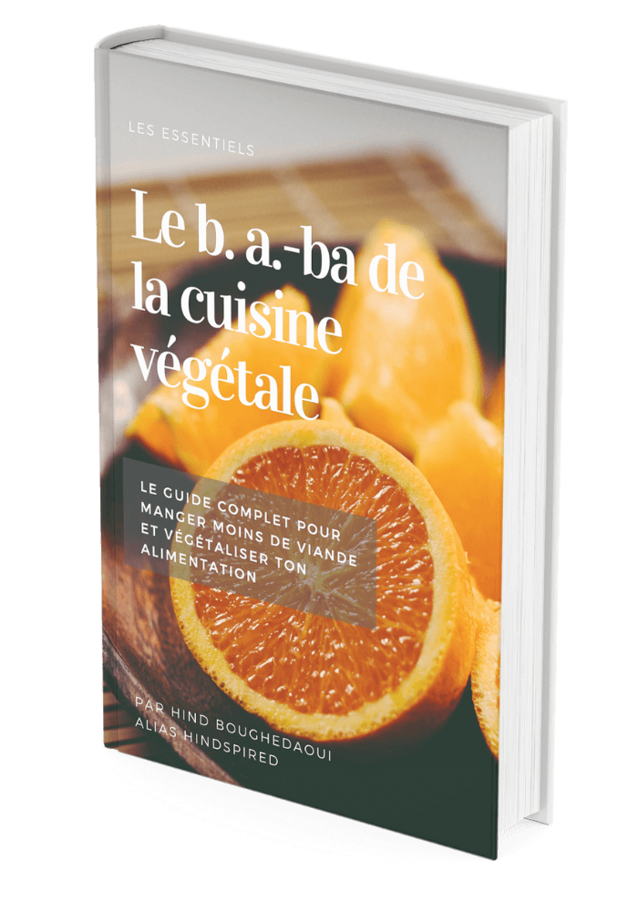 ebook recettes vegetales
